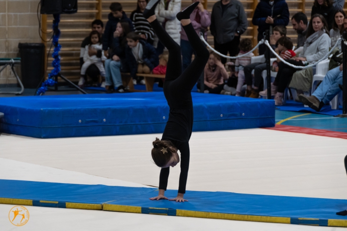 Medianos Iniciación-29